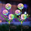 SET 2x Lampa solara tip Papadie RGB