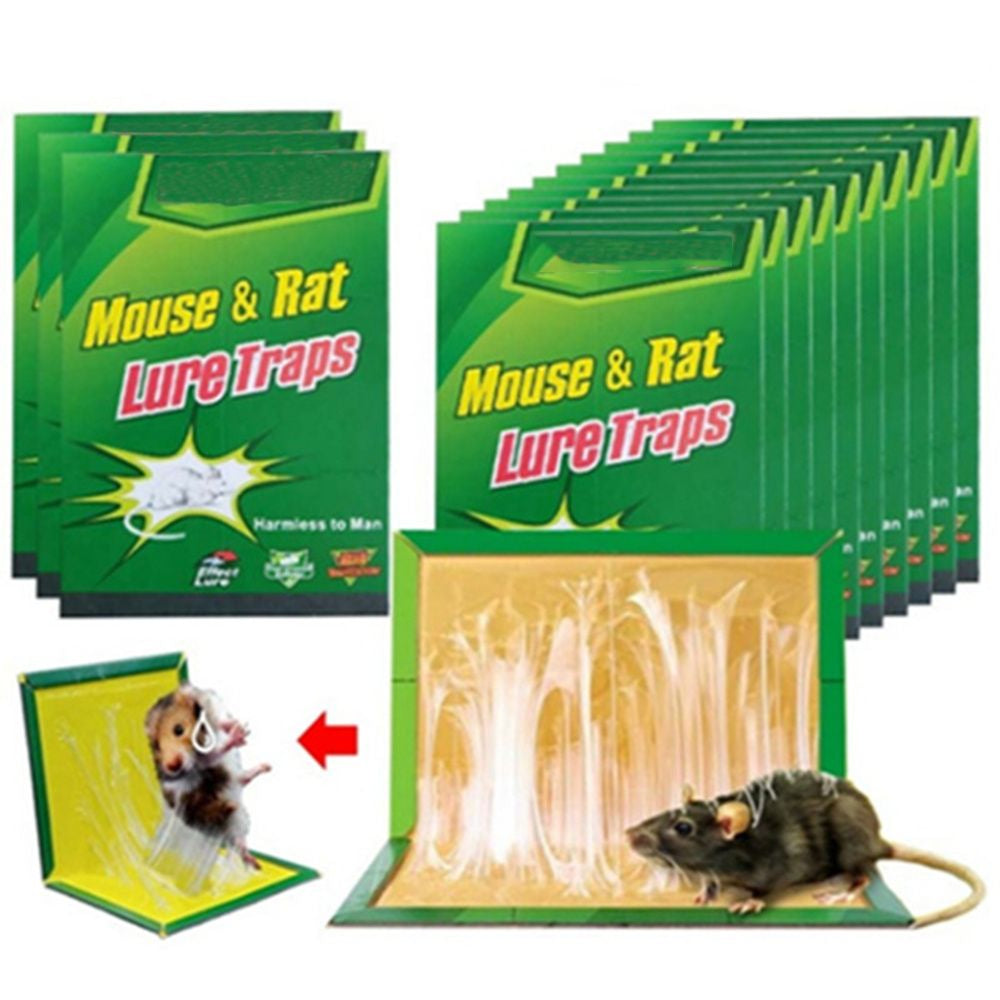 Set 5 capcane cu lipici pentru soareci si sobolani | Solutie eficienta si usoara | Material sigur, reutilizabil, usor de folosit