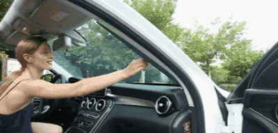 Parasolar auto SunShield - Oricare.ro