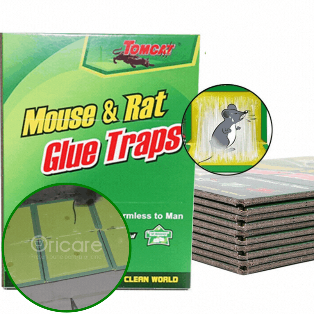 Set 5 capcane cu lipici pentru soareci si sobolani | Solutie eficienta si usoara | Material sigur, reutilizabil, usor de folosit